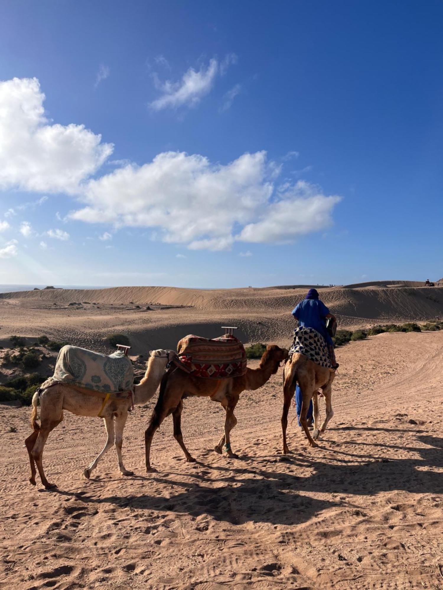 Hostel Nizar Surf Morocco Taghazout